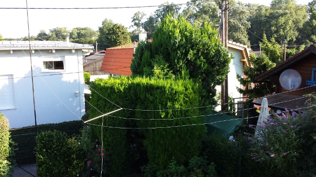 http://sprint.no-ip.org/images/lowfer/schumann/mini-marconi-t-antenna.jpg